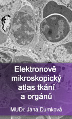 Elektronově mikroskopický atlas tkání a orgánů – MUDr. Jana Dumková